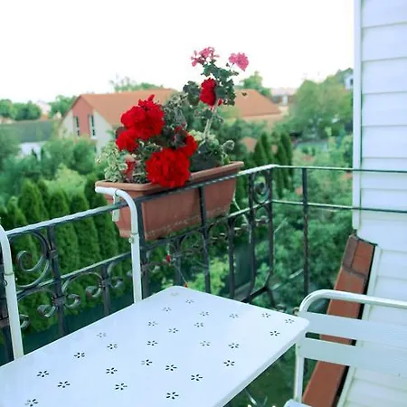 Guest house Fuete 3*