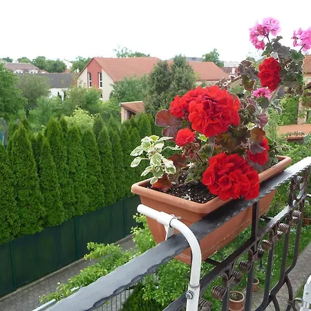 Guest house Fuete 3*